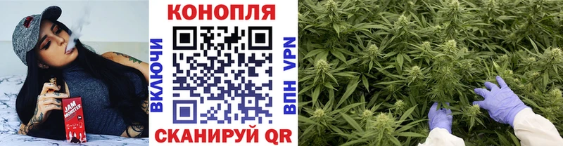 купить наркоту  Чудово  Шишки марихуана Bruce Banner 